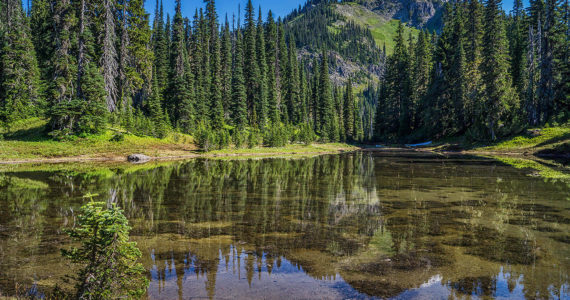 Photo courtesy of Rich Border
The newly-renamed Kiya Lake, located on Mt. Rainier’s Wonderland Trail.