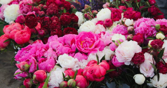 Flowers are sold at the Renton Farmers Market every Tuesday. The market returns June 3 and will be held on Williams Avenue between 2nd Street and 3rd Street. Photo by Bailey Jo Josie/Sound Publishing