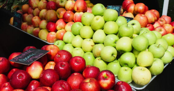 Photo by Bailey Jo Josie/Sound Publishing. 
Fresh apples sold at the Renton Farmers Market, which returns with a new location on June 3.
